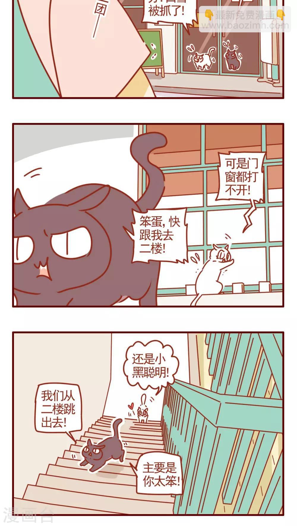 貓咪甜品屋 - 第319話 - 1