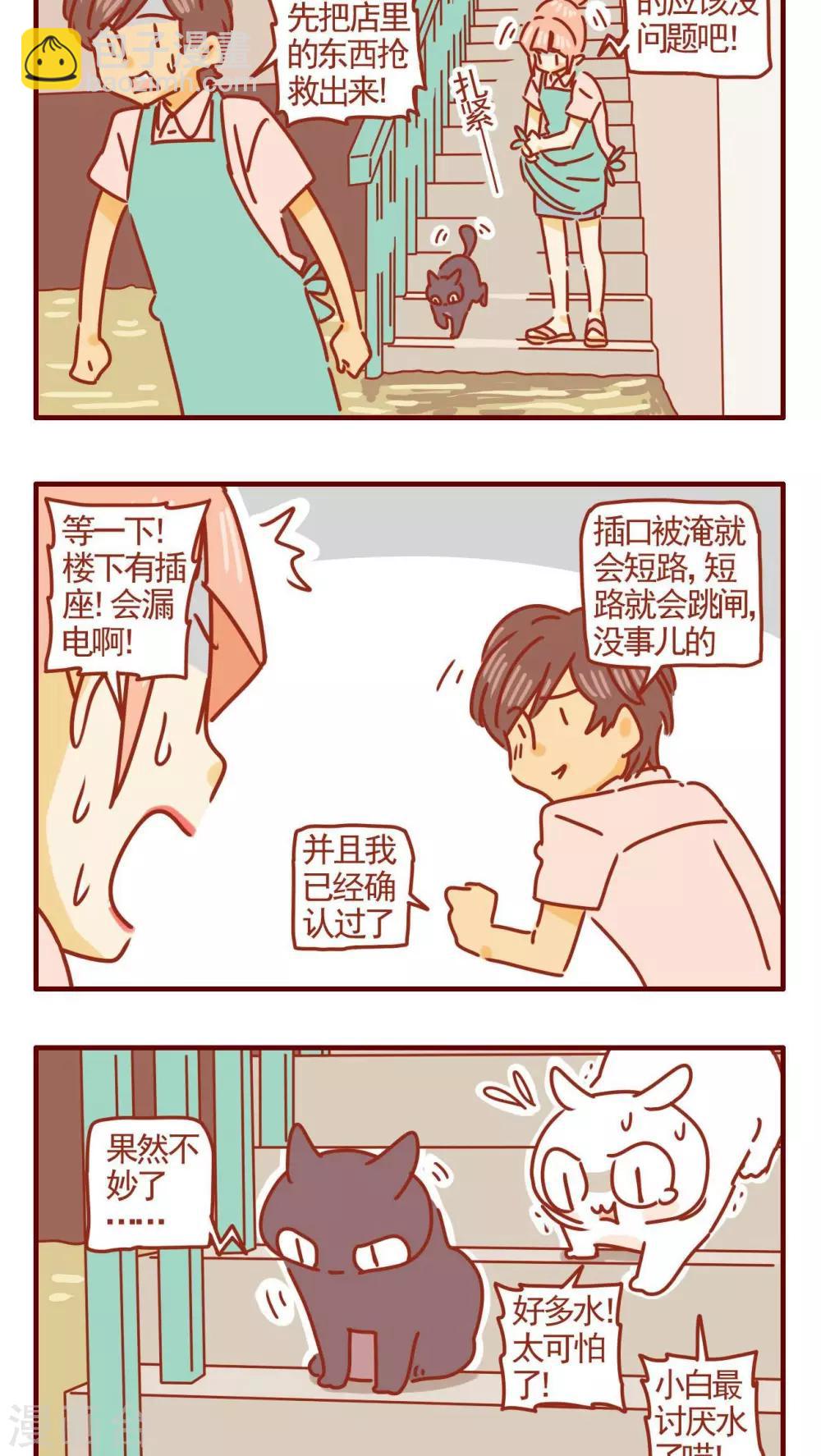 貓咪甜品屋 - 第329話 - 2