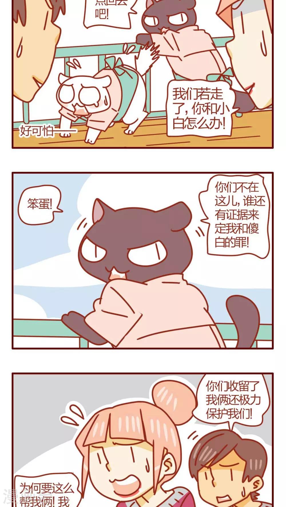 貓咪甜品屋 - 第35話 - 4