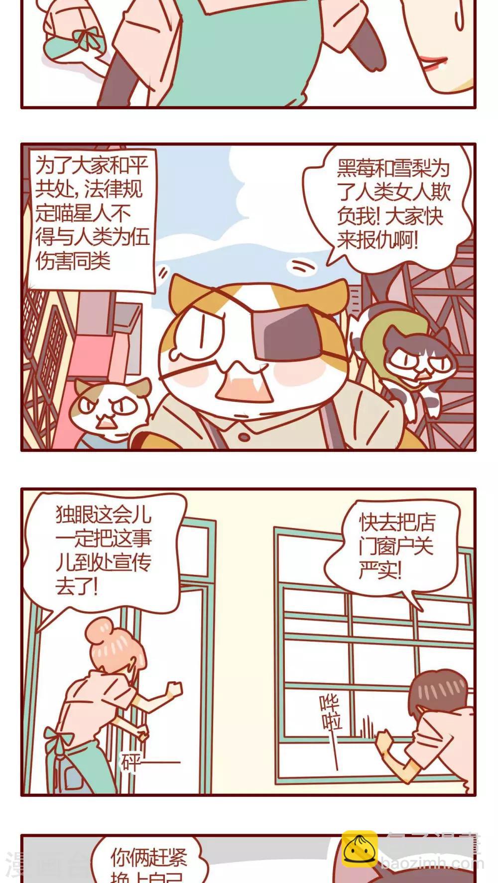 貓咪甜品屋 - 第35話 - 3