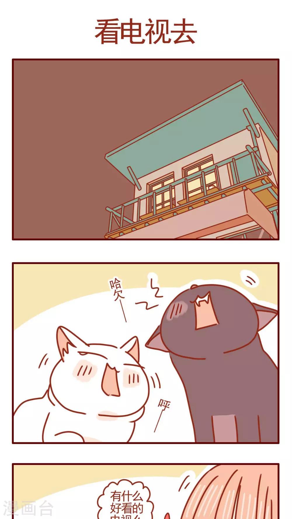 貓咪甜品屋 - 第355話 - 1