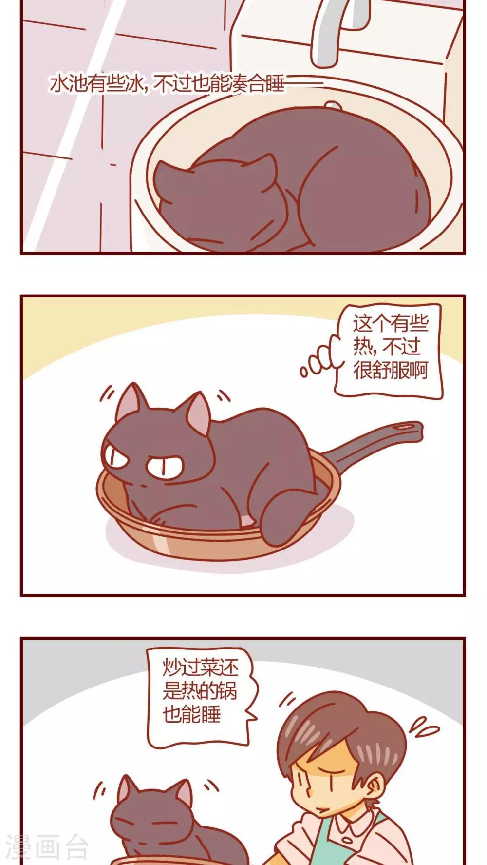 猫咪甜品屋 - 第39话 - 4