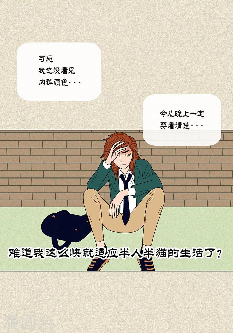 第25话 保护-第27话