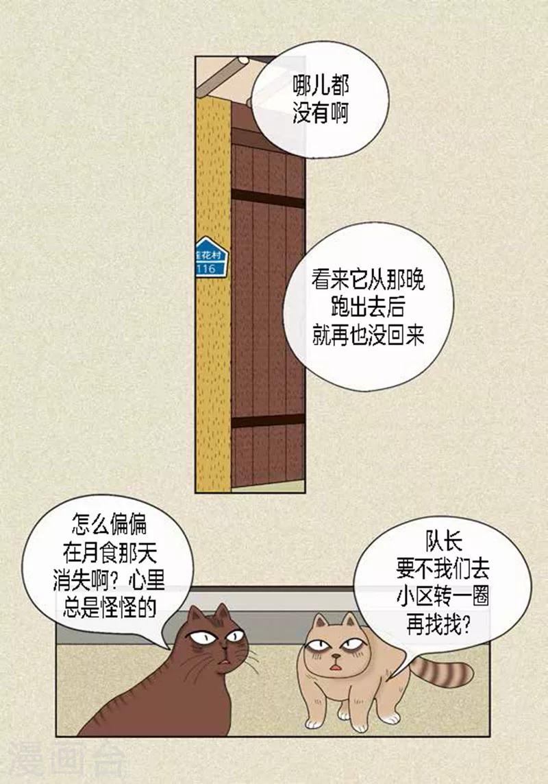 第45话 猫王子的下一个目标-第47话