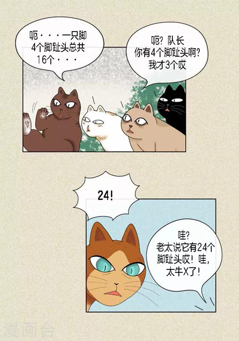 第45话 猫王子的下一个目标-第47话