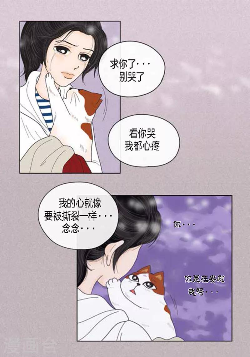 第49话 他回来了-第51话