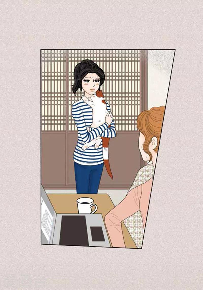 第49话 他回来了-第51话