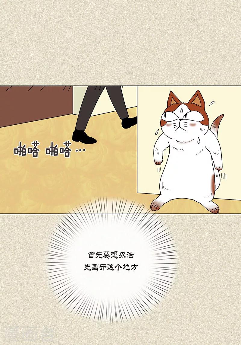 第7话 突然变身-第9话