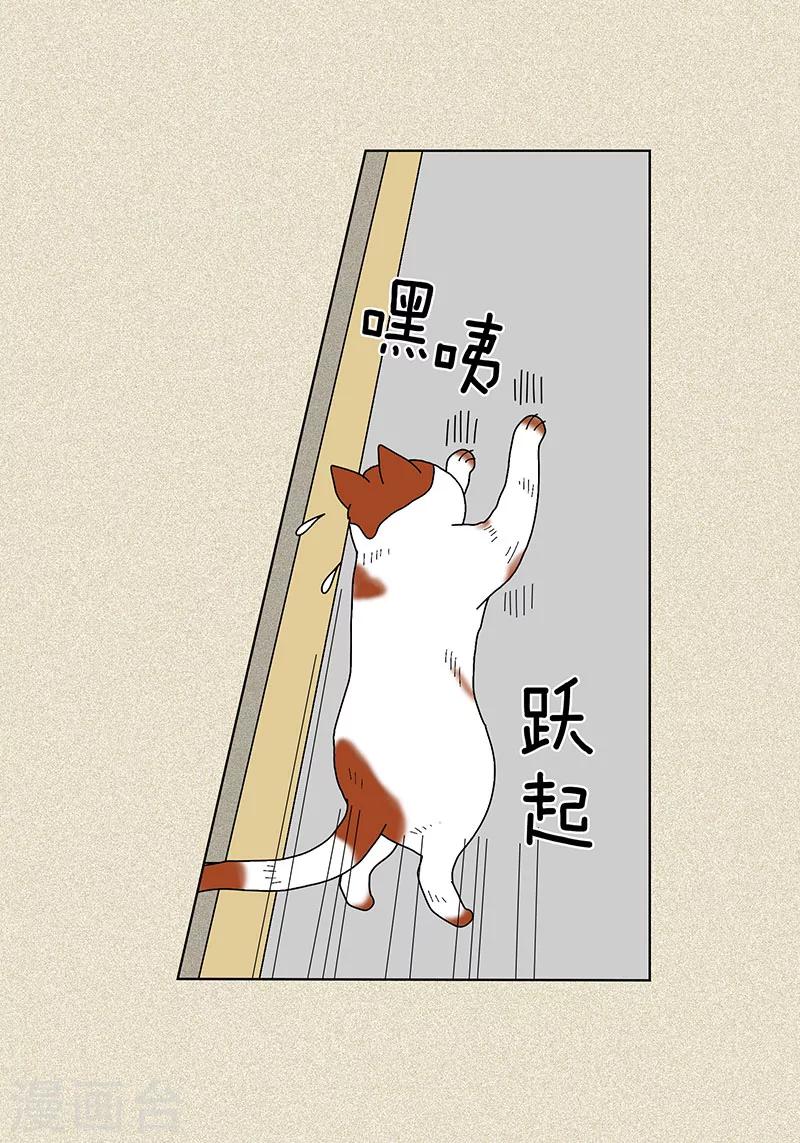 第7话 突然变身-第9话