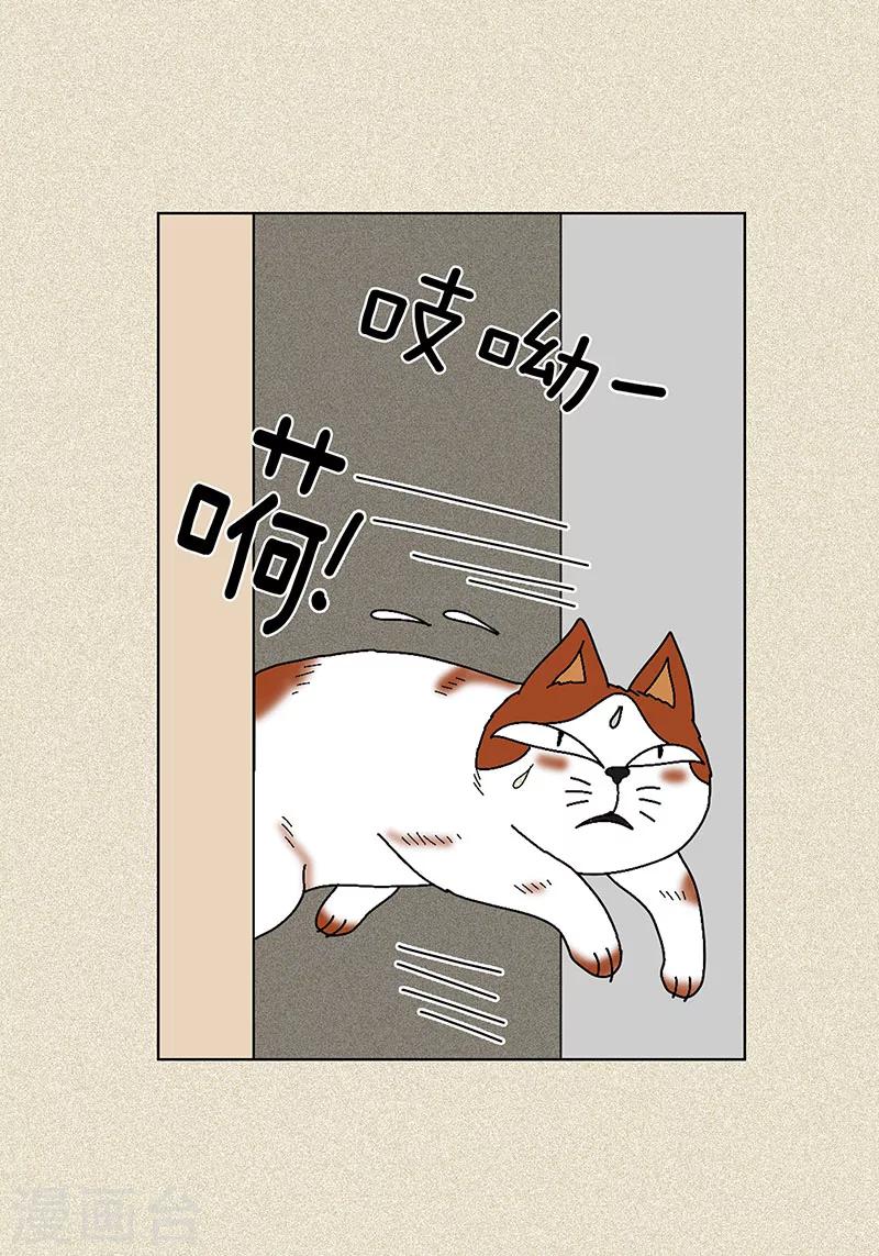 第7话 突然变身-第9话