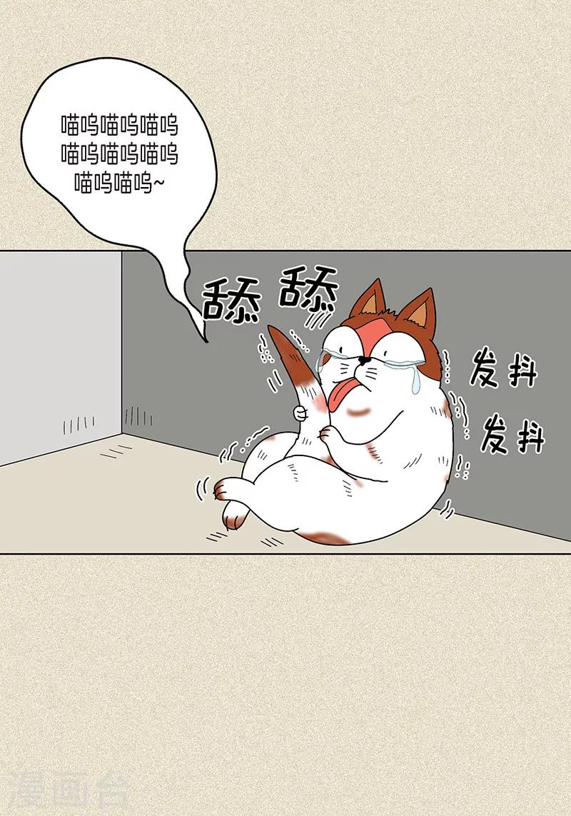 第7话 突然变身-第9话