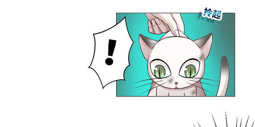 放我下来-第29话