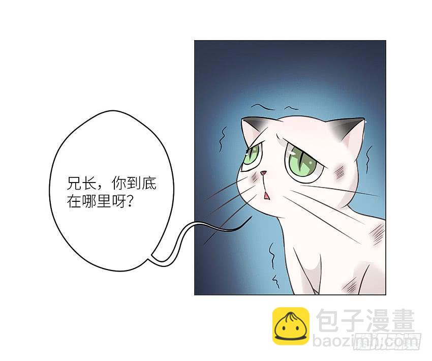 放我下来-第29话