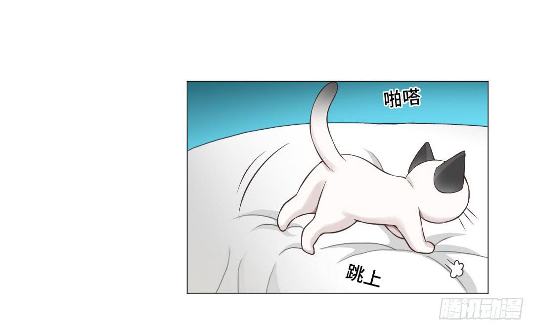 猫妖被睡了！-第31话