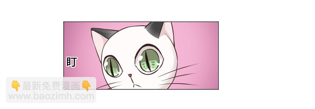 猫妖被睡了！-第31话