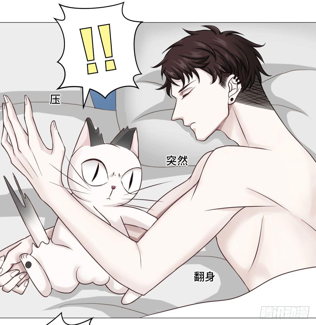 猫妖被睡了！-第31话