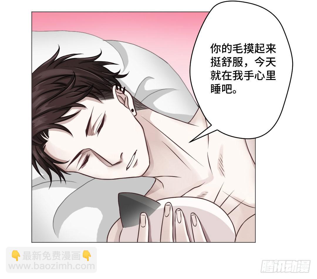 猫妖被睡了！-第31话