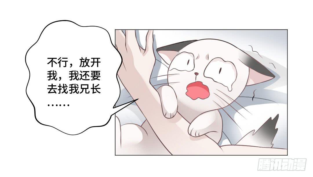 猫妖被睡了！-第31话