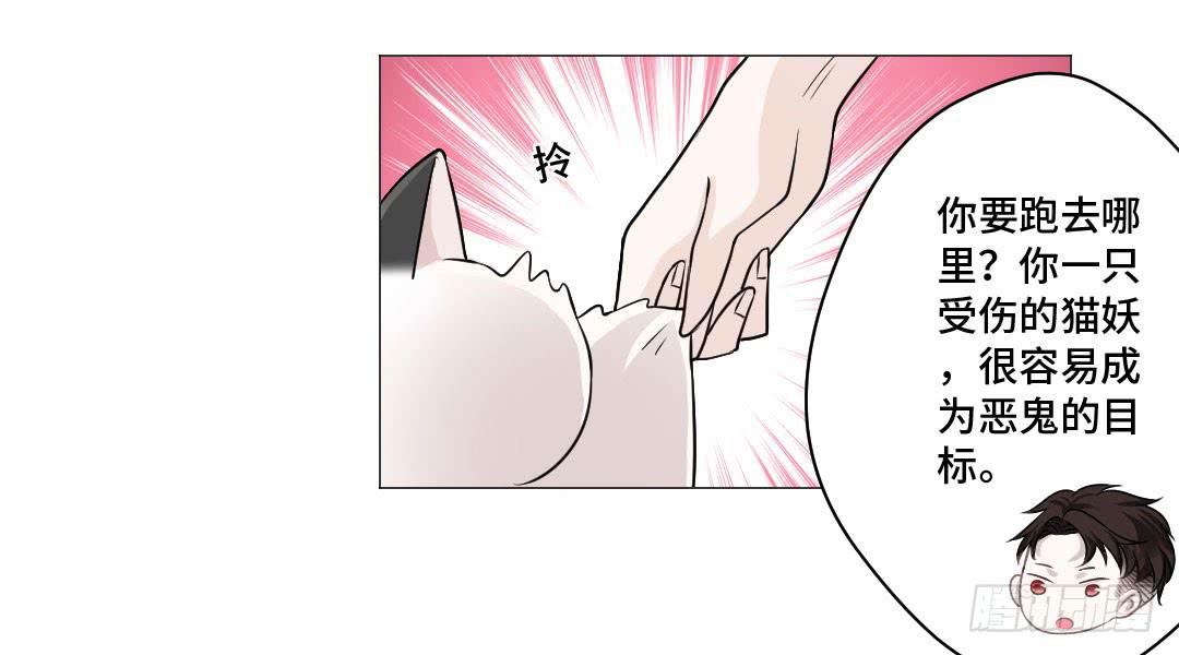 猫妖被睡了！-第31话