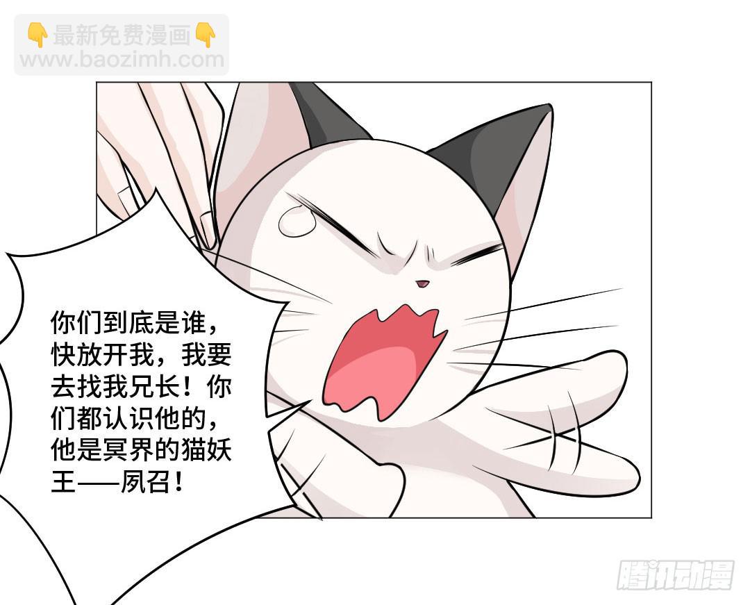 猫妖被睡了！-第31话