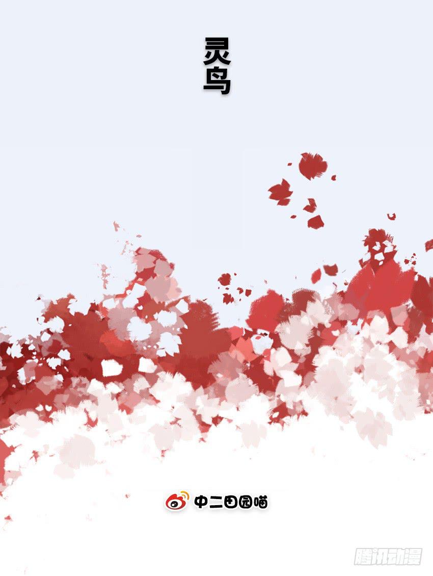 灵鸟-第61话