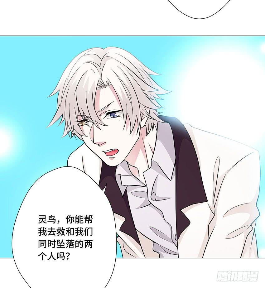 灵鸟-第61话