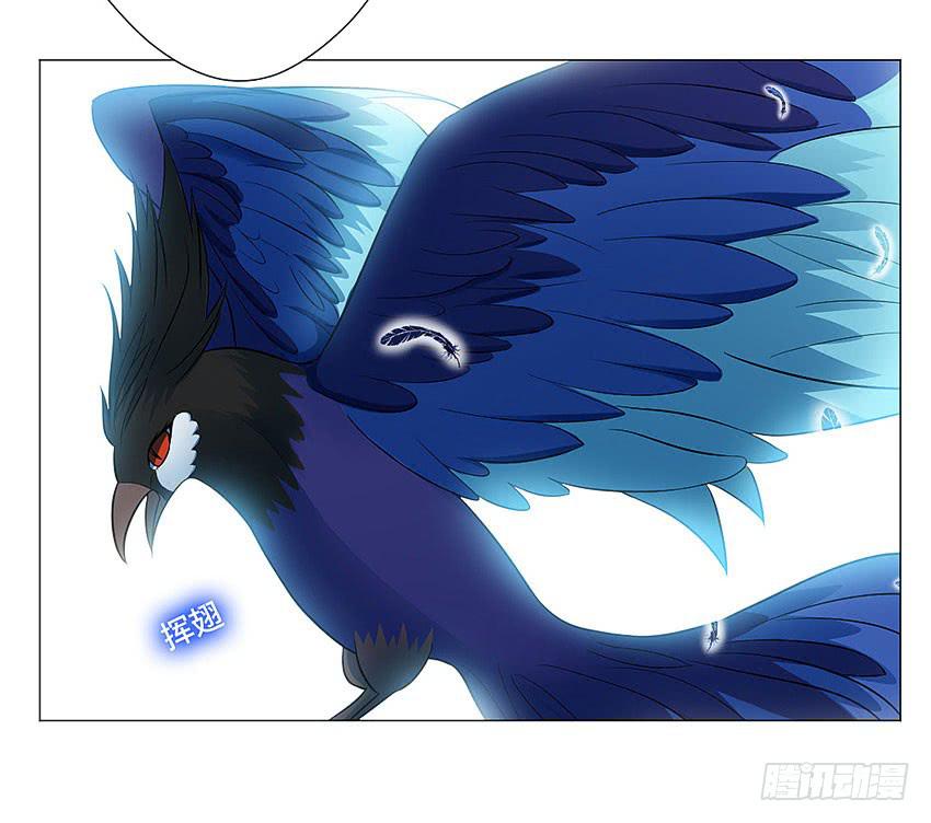 灵鸟-第61话