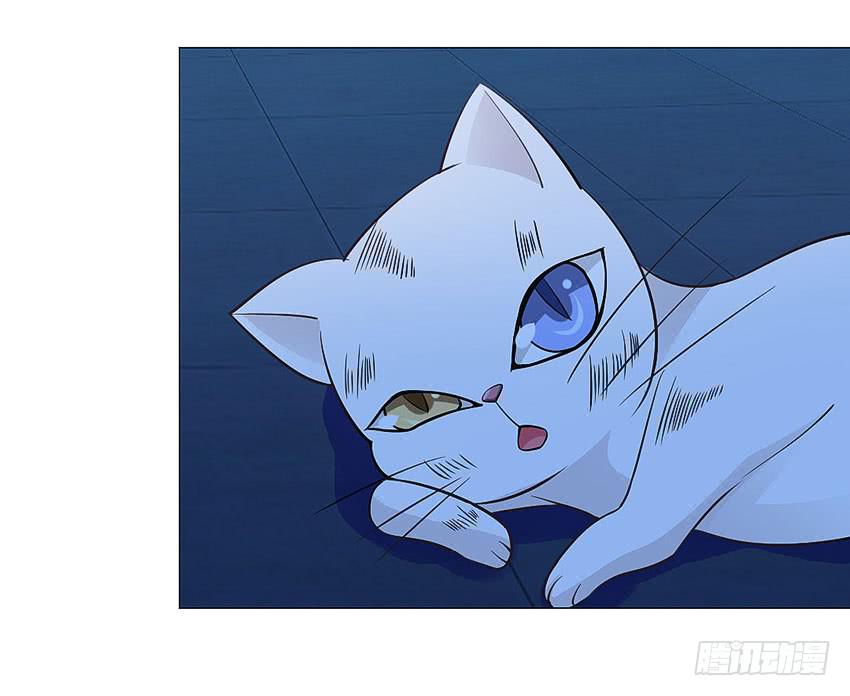 你上当了哈-第95话