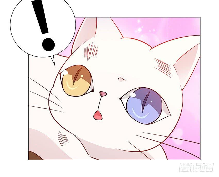 你上当了哈-第95话