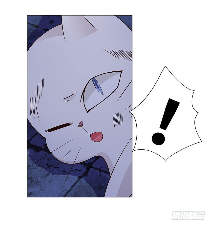 你上当了哈-第95话