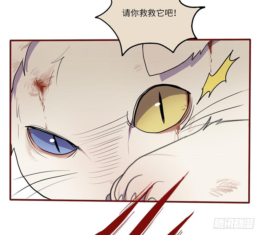 我来过这里？-第11话