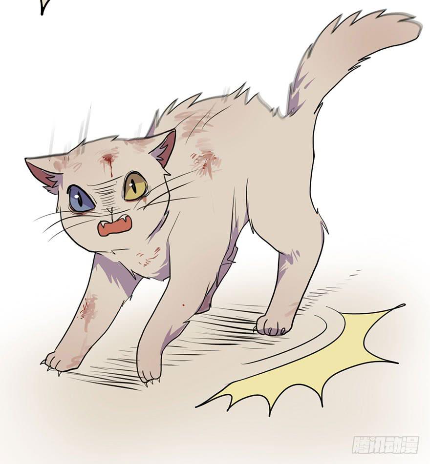 我来过这里？-第11话