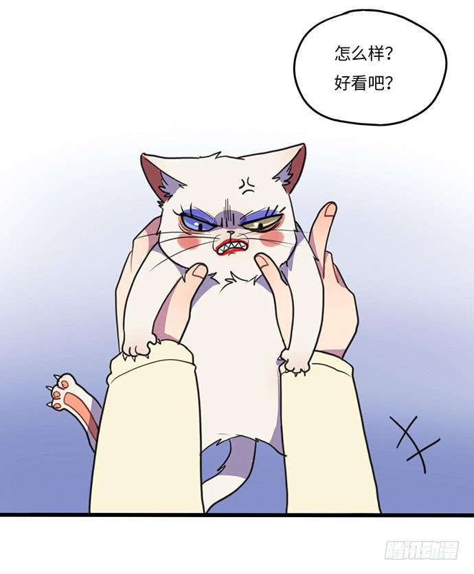 再次见面(1/2)-第29话