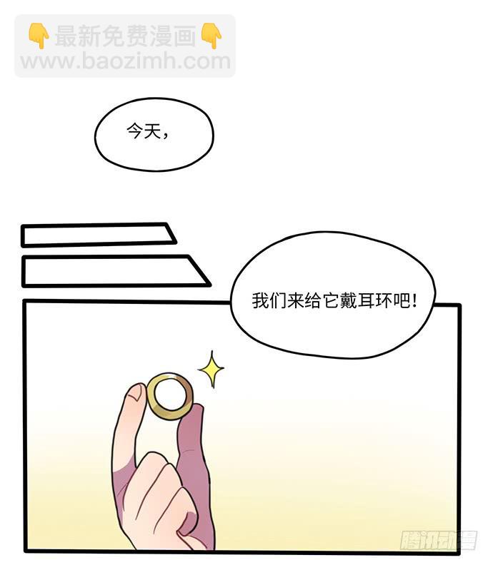 再次见面(1/2)-第29话