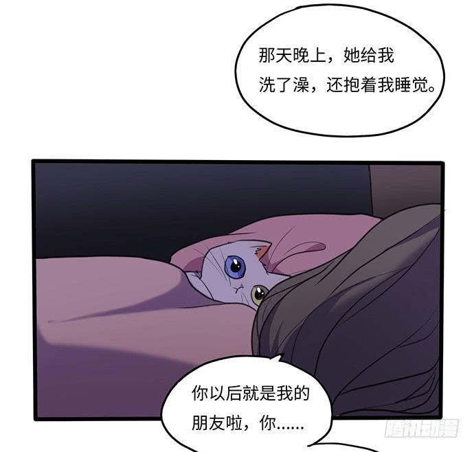 再次见面(1/2)-第29话