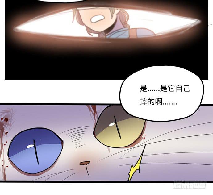 再次见面(1/2)-第29话