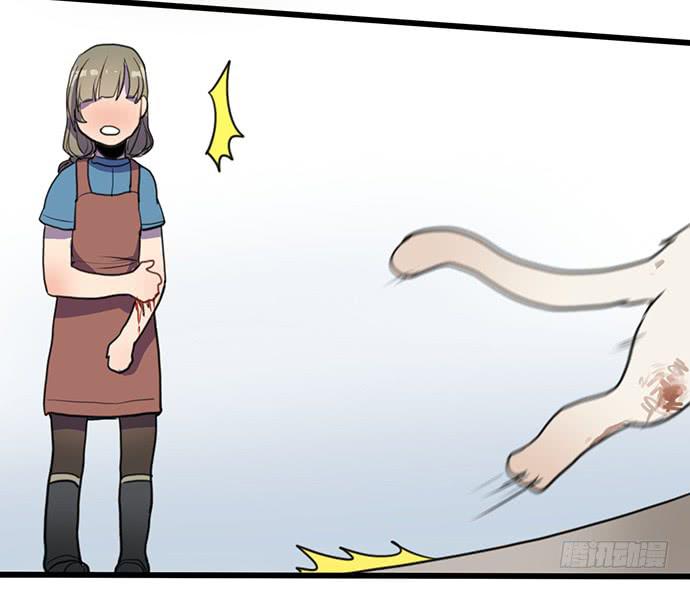 再次见面(1/2)-第29话