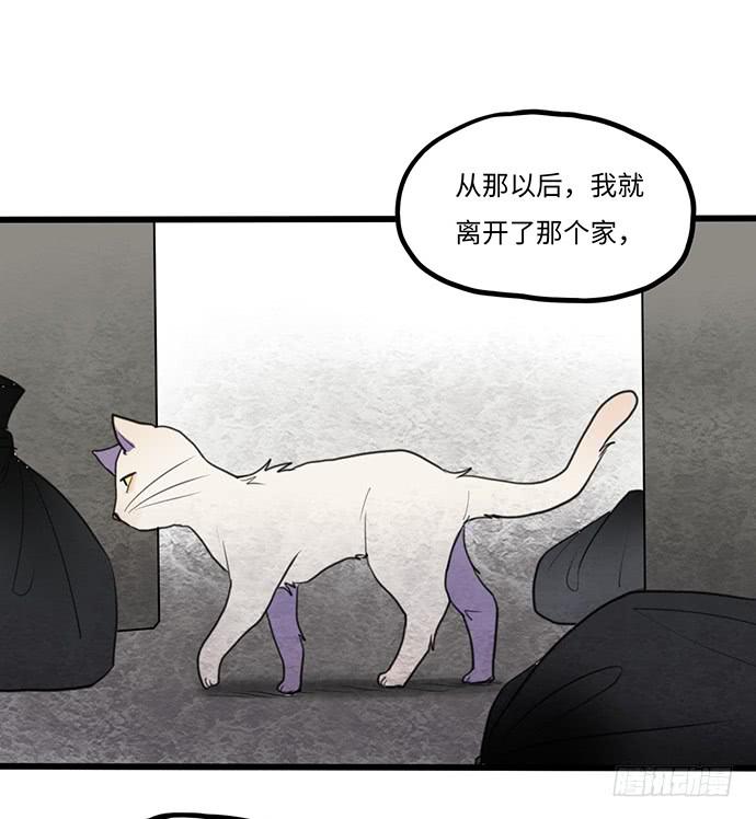 再次见面(1/2)-第29话