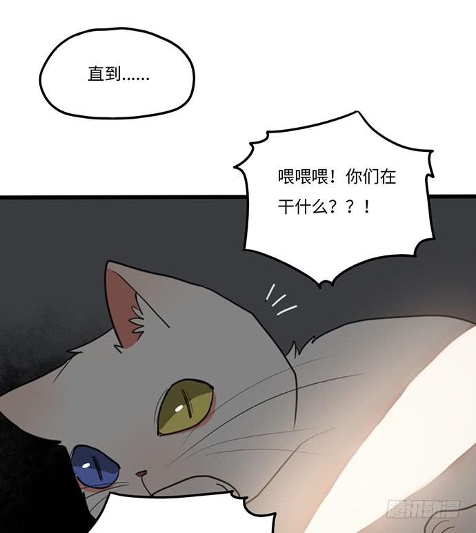 再次见面(1/2)-第29话