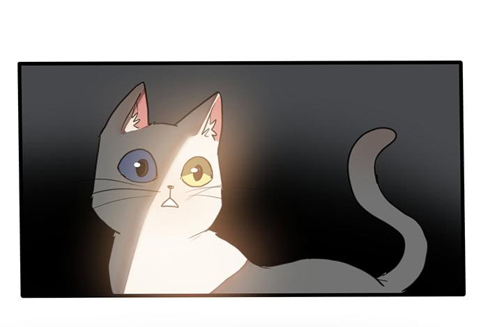 再次见面(1/2)-第29话