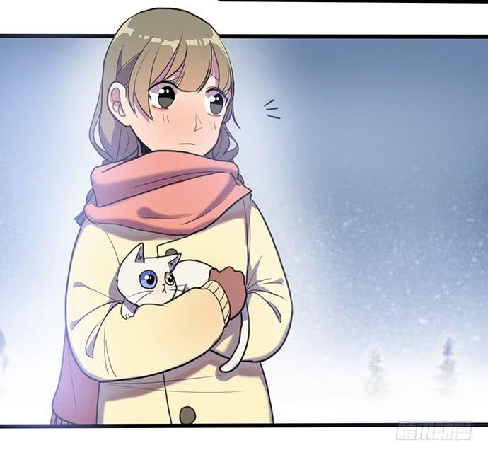 再次见面(1/2)-第29话