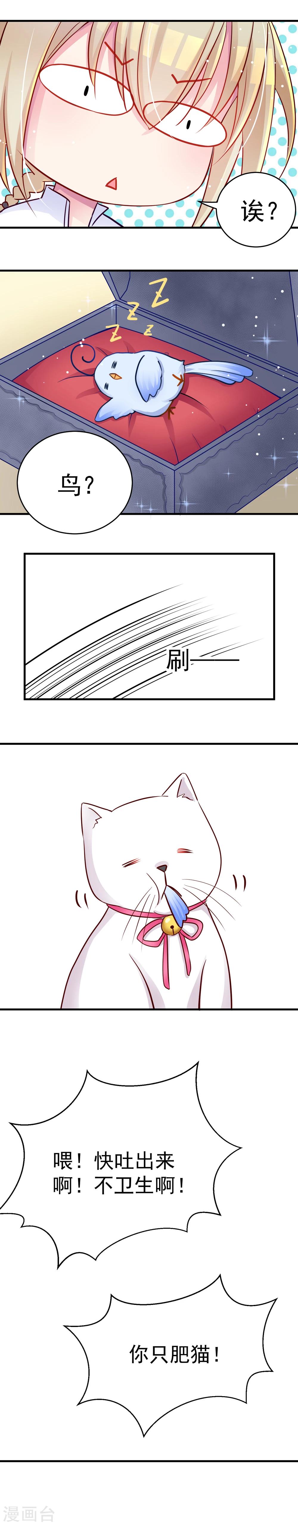 第3话 大晚上找猫的我一定有毛病-第3话