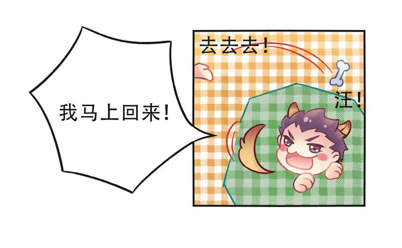 第9话：愿望成真 下-第23话