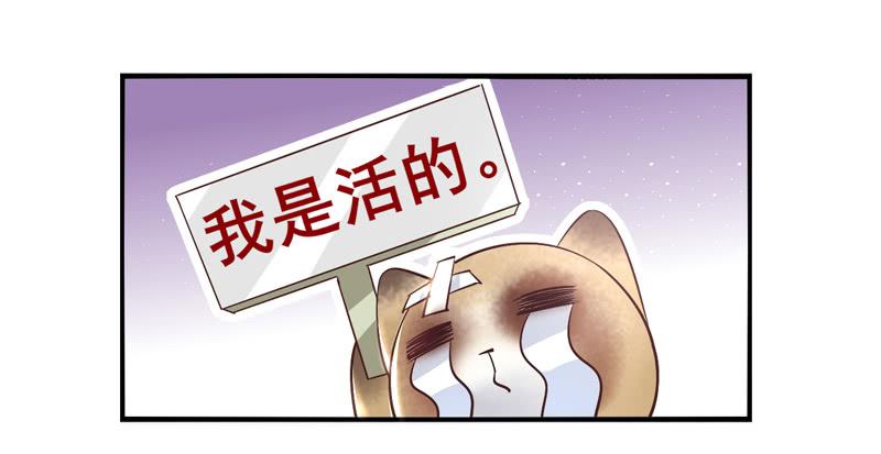 第57话：镜界面局04-第73话