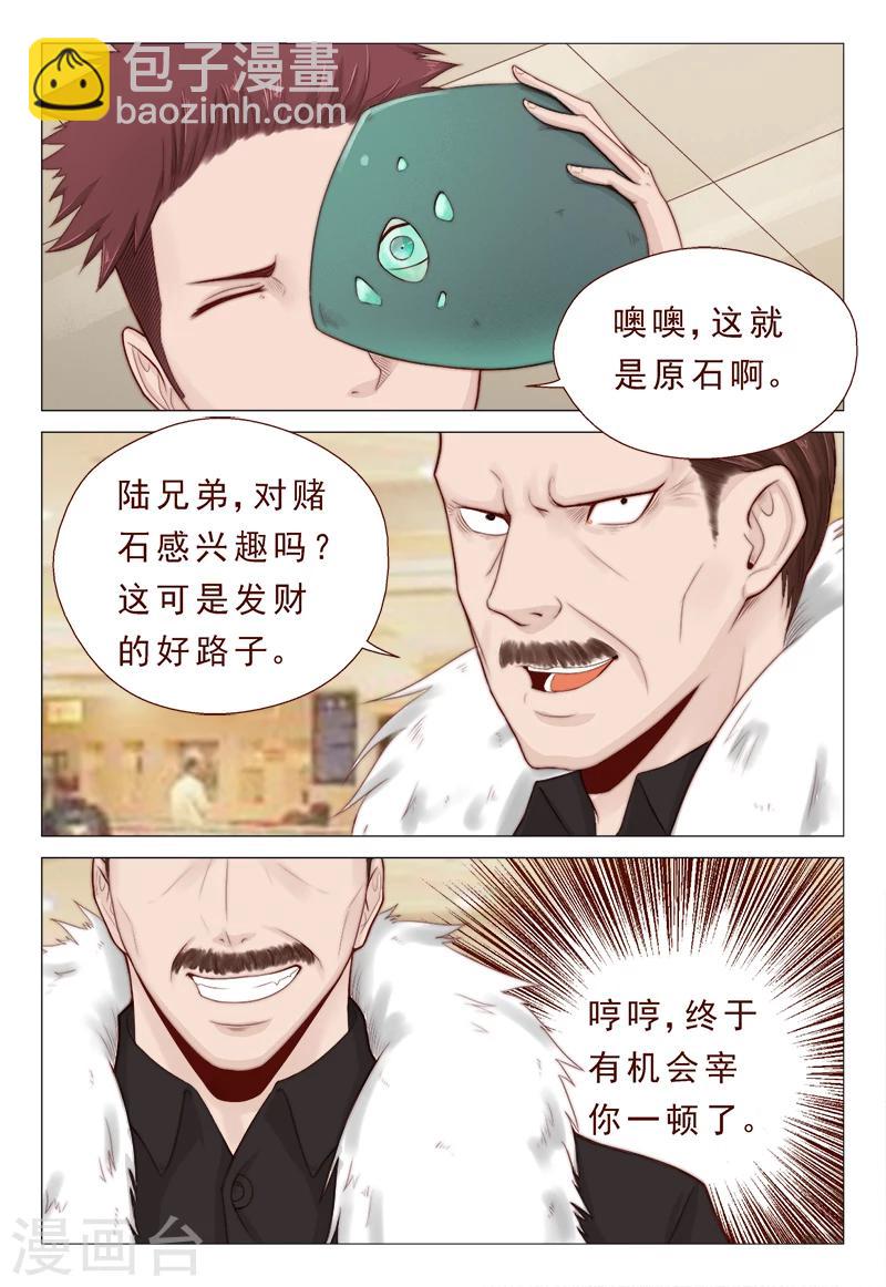 第21话 精心准备的假玉石-第21话