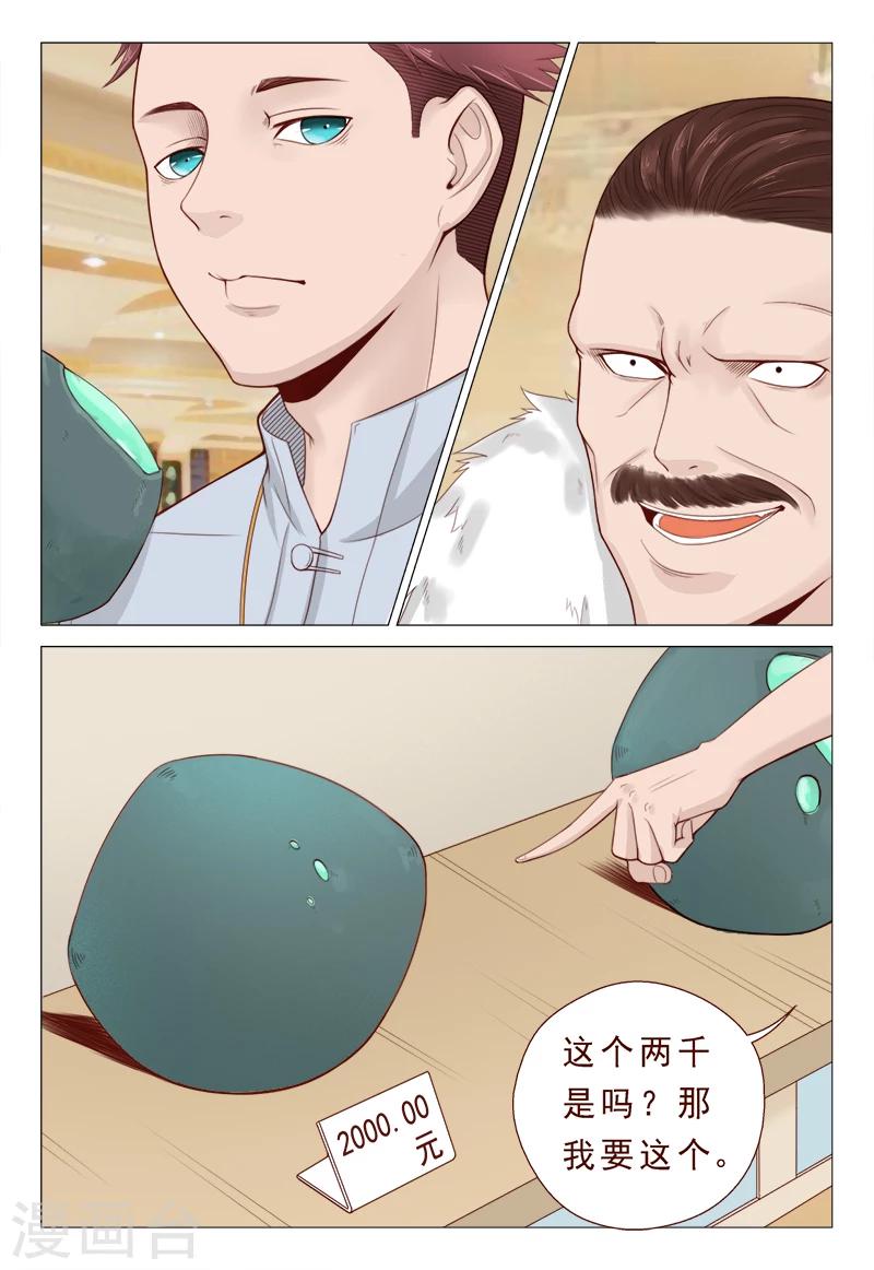 第21话 精心准备的假玉石-第21话