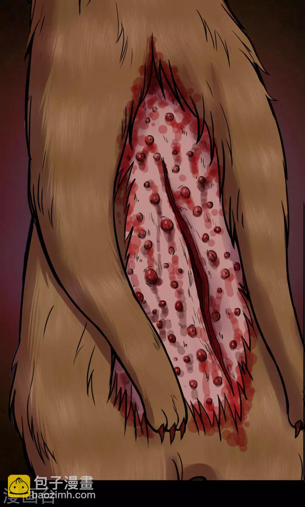 第41话 虫娘3-第41话