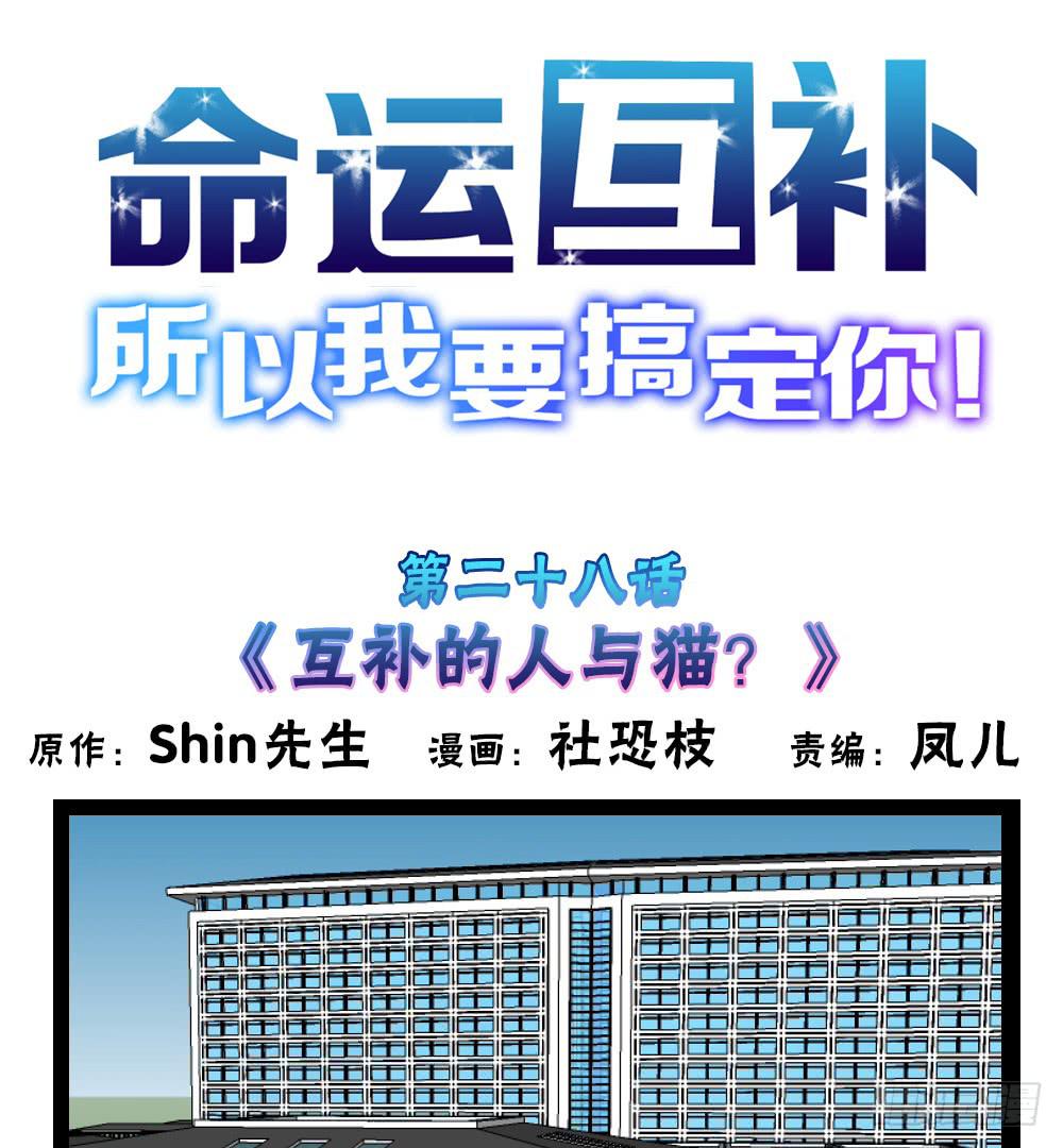 第二十八话：互补的人与猫？-第29话