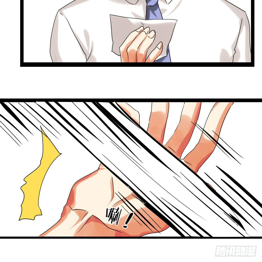 第二十八话：互补的人与猫？-第29话