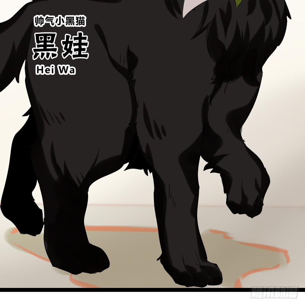 第二十八话：互补的人与猫？-第29话